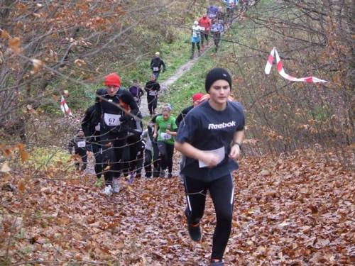 1476437_391328420998671_2126617342_n