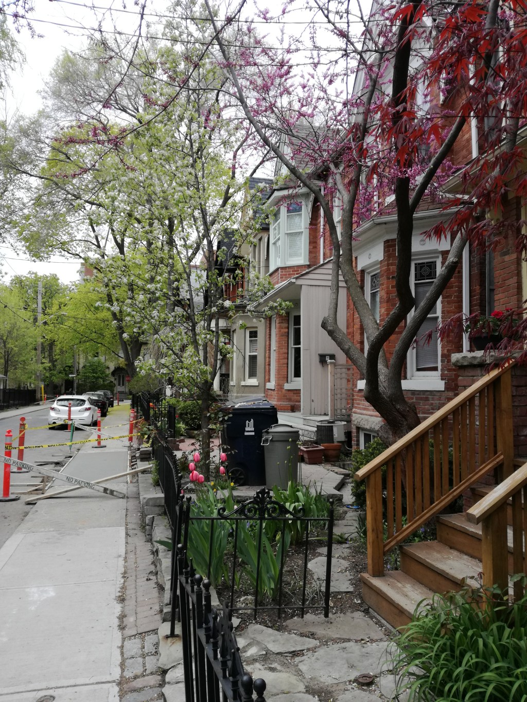 Eskapada do kraju spod znaku Klonowego&nbsp;Liścia.