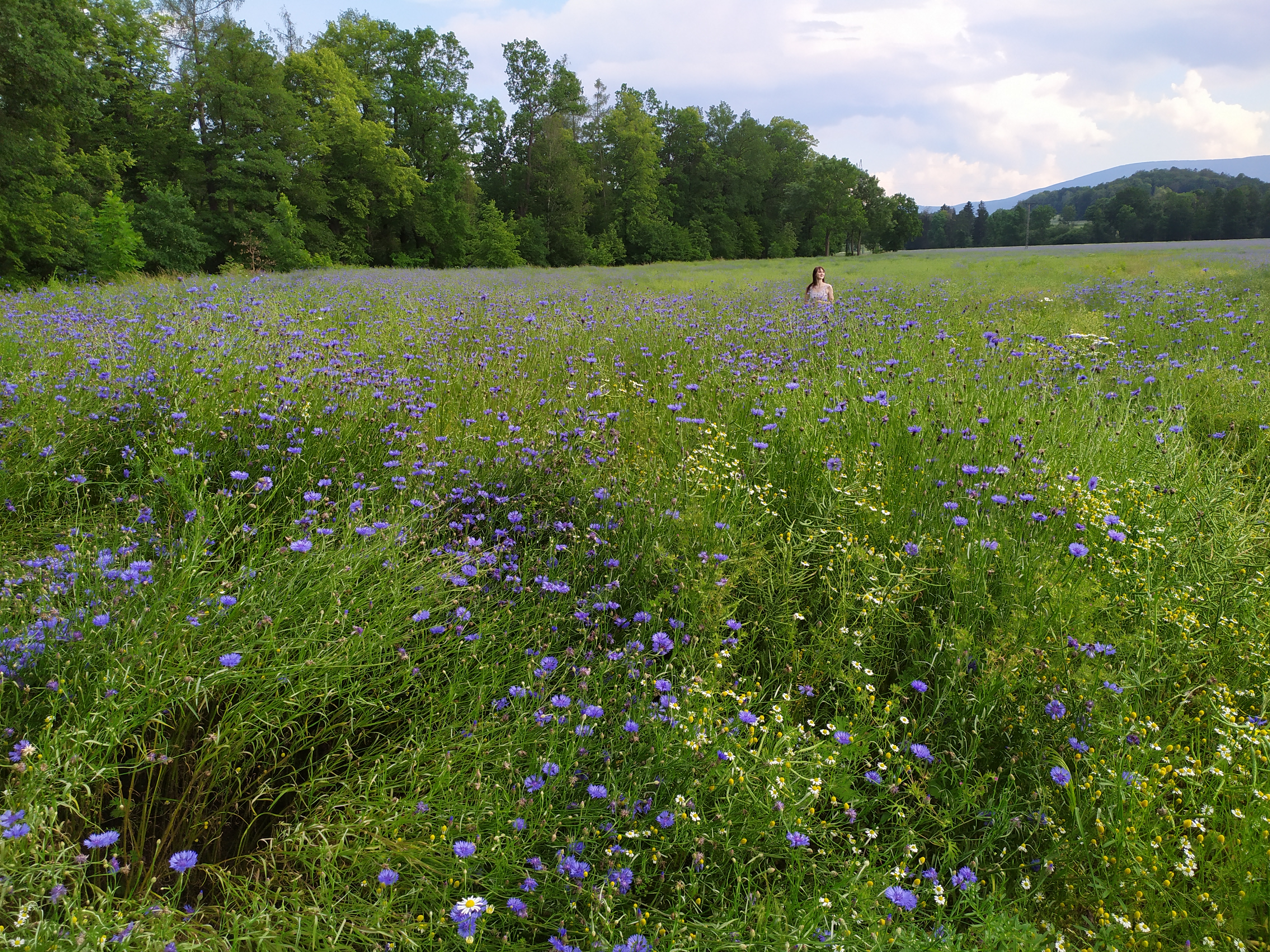 IMG_20200627_170125 (1).jpg