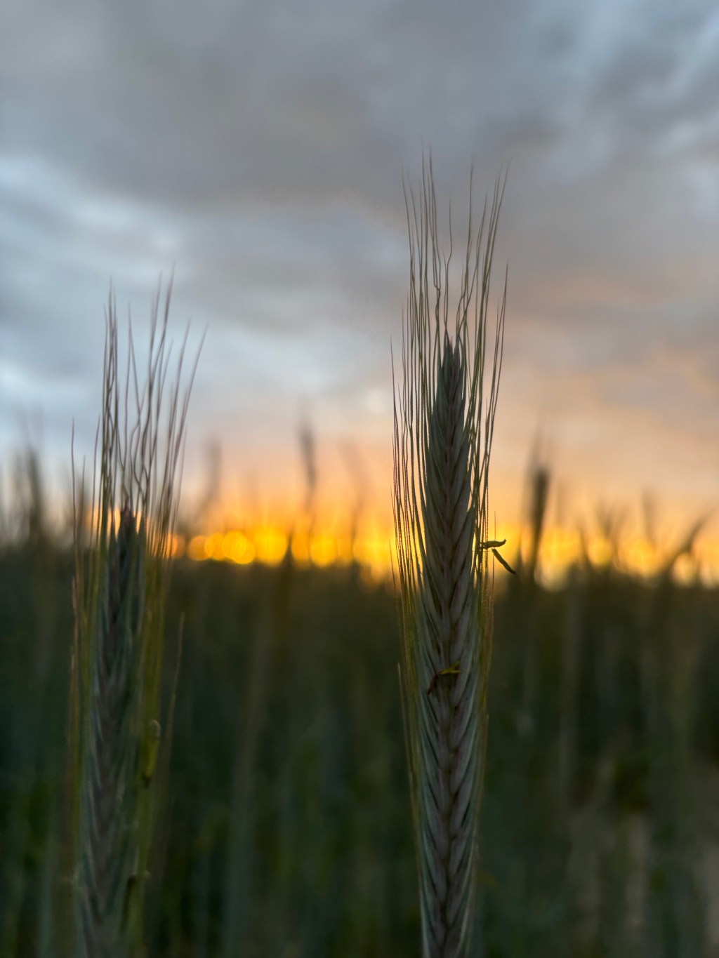 Lost the Route, Found the&nbsp;Joy