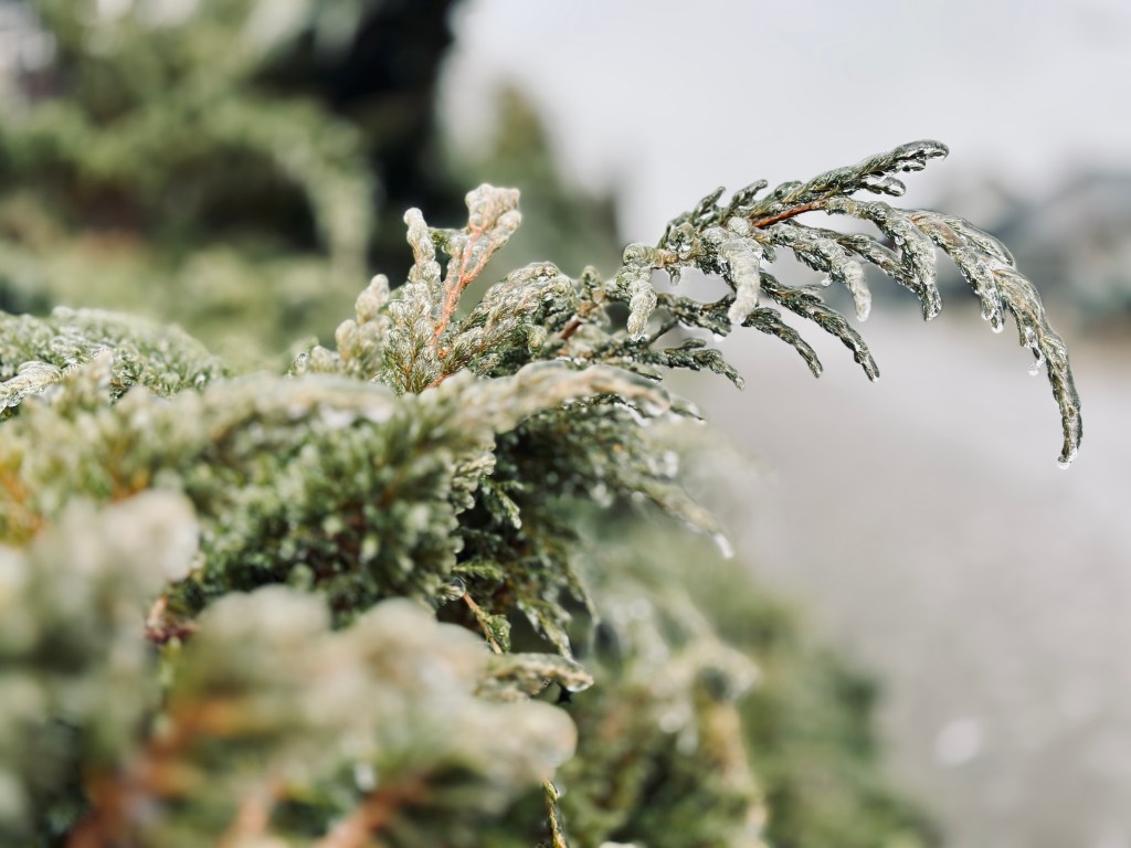 Gdy zima zamienia miasto w&nbsp;ciszę